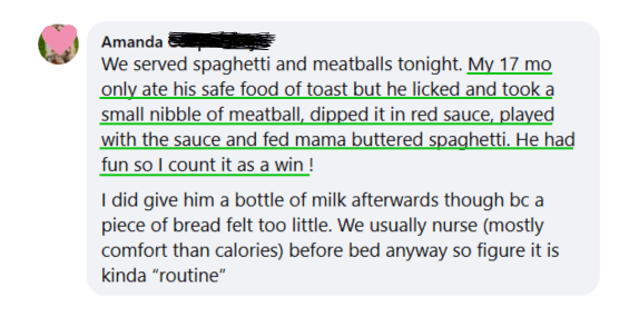 He licked and took a small nibble of meatball