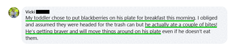 Blackberries, Couple of Bites