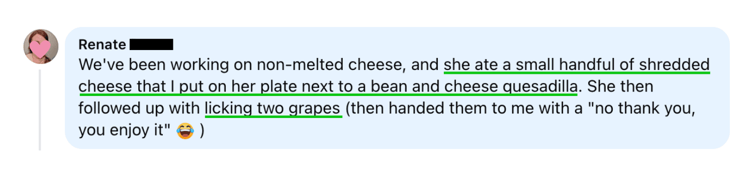 She Ate a Small Handful of Shredded Cheese