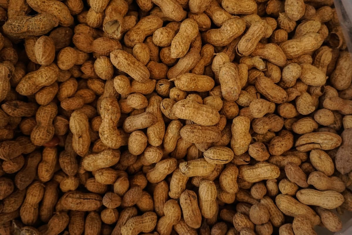 Food allergy with peanuts