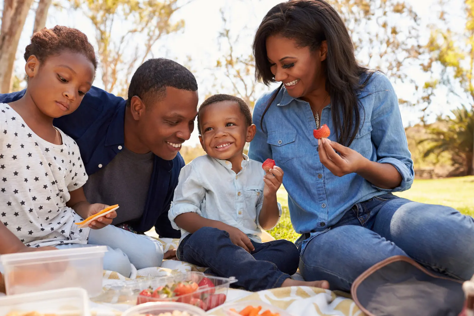 Family enjoying a picnic