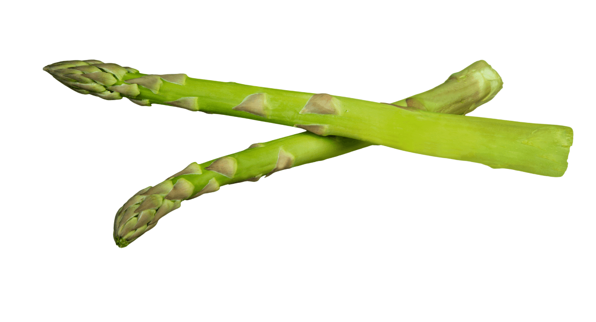 Asparagus